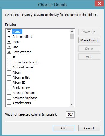 Windows File Explorer View, Add Details